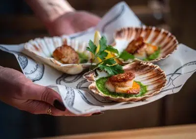 SCALLOP_SHELL_SEP_2024-233